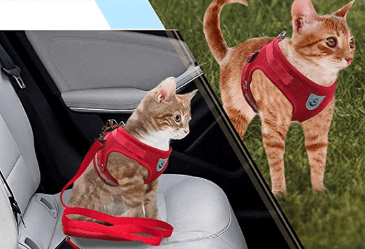 BowLift | ADVENTURE HARNESS – Escape-proof cat harness with leash & reflective elements