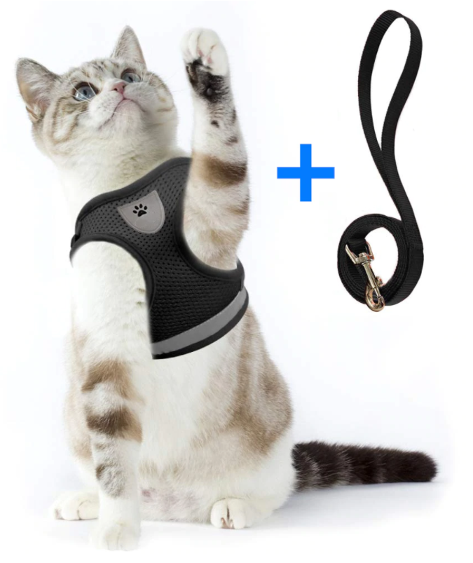 AdventureKit - Safe Harness for Adventurous Cats Bowlift