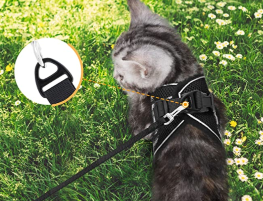 AdventureKit - Safe Harness for Adventurous Cats Bowlift