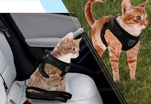 BowLift | Escape-proof cat harness with reflective details