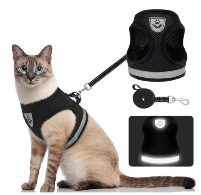 AdventureKit - Safe Harness for Adventurous Cats Bowlift