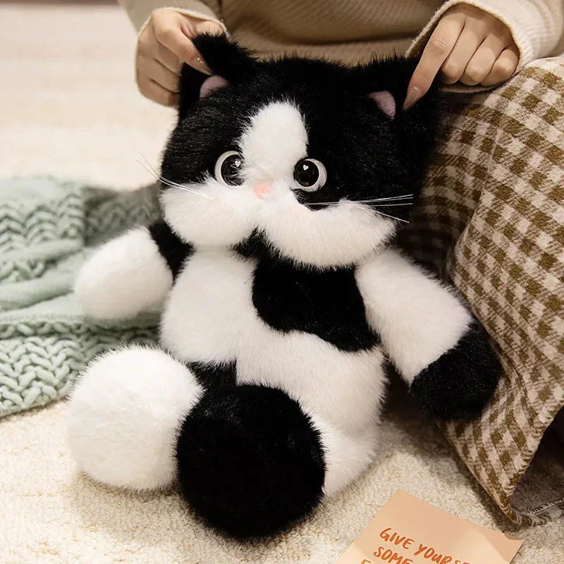BowLift | Big-eyed Calico Siamese Cat Plush Friends