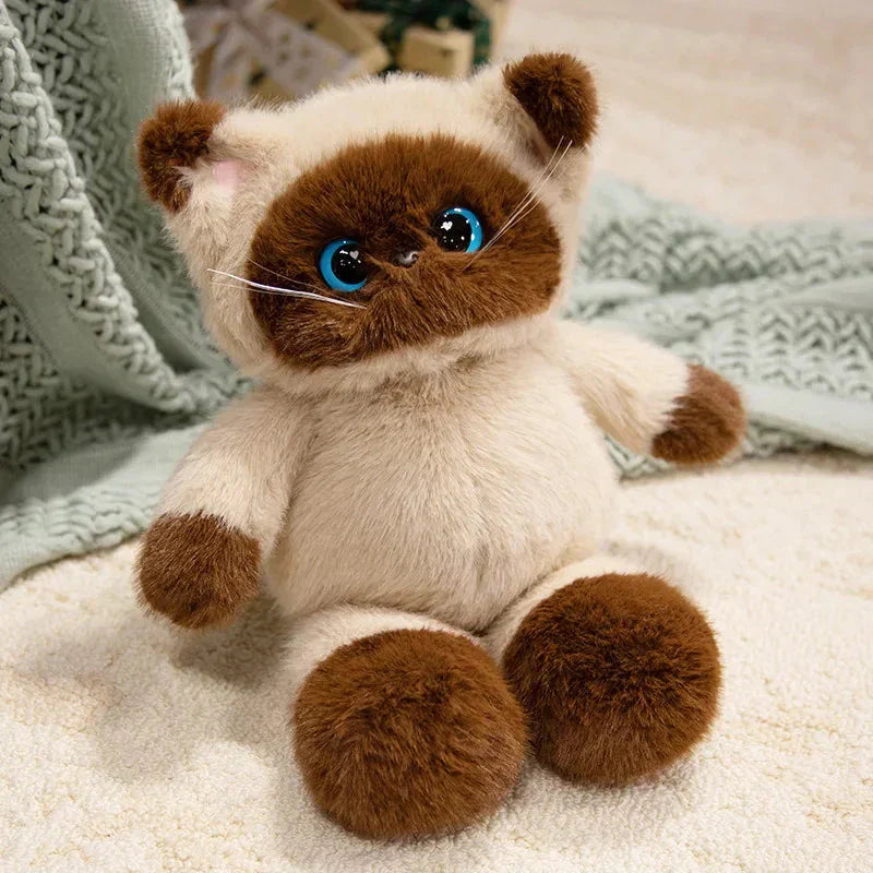 BowLift | Big-eyed Calico Siamese Cat Plush Friends