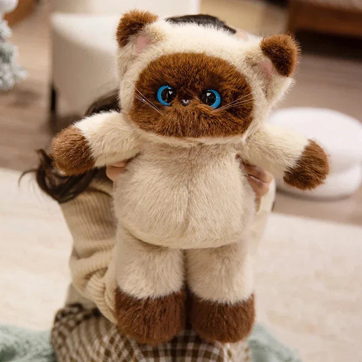 BowLift | Big-eyed Calico Siamese Cat Plush Friends