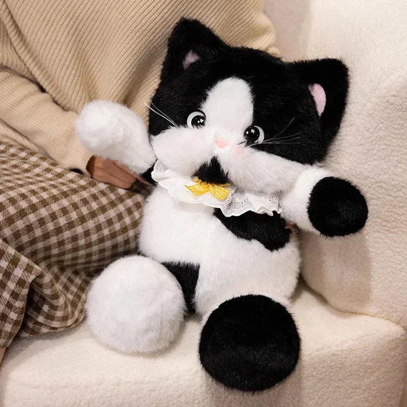 BowLift | Big-eyed Calico Siamese Cat Plush Friends