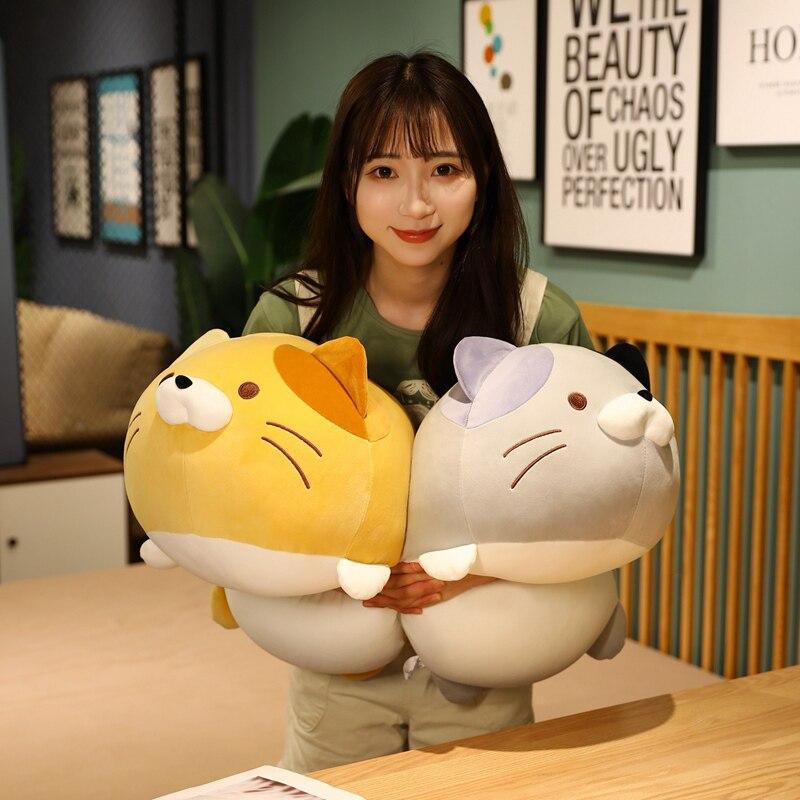 BowLift | Chubby Cat Squad
