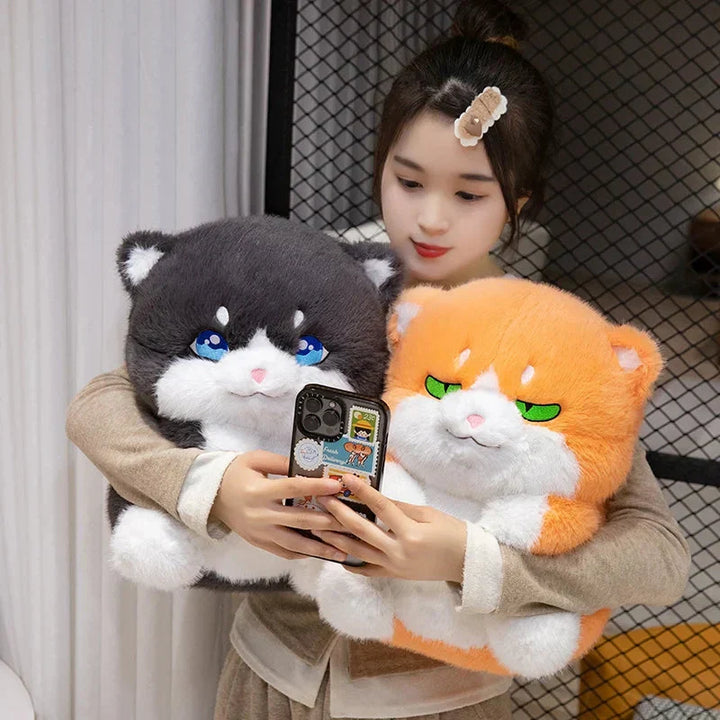 BowLift | Cute Chubby Gray Ginger Cat Plushies