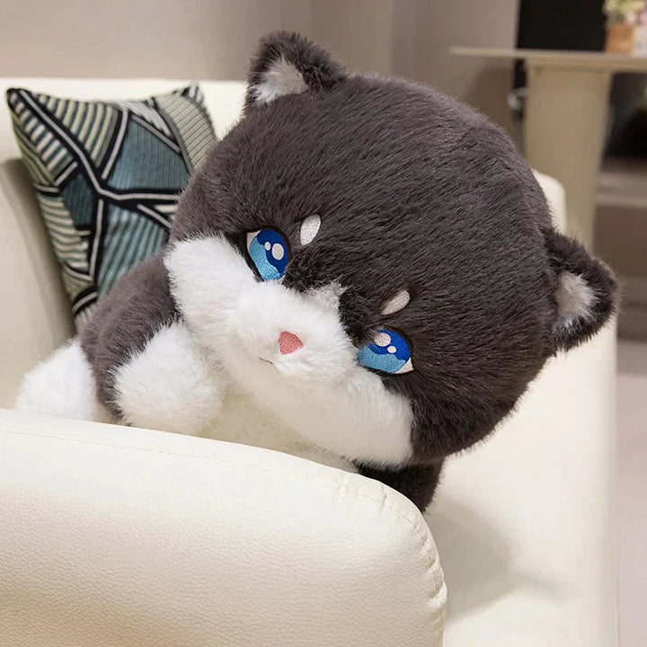 BowLift | Cute Chubby Gray Ginger Cat Plushies