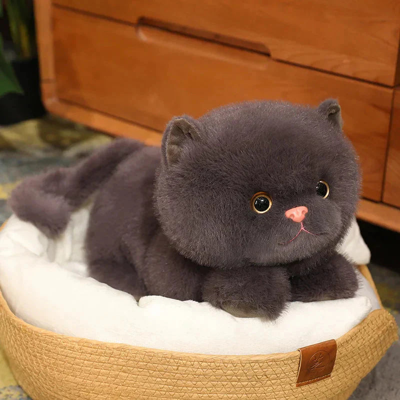 BowLift | Fluffy Kitten Squad Laying Plushies