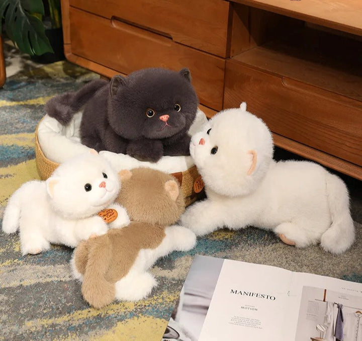BowLift | Fluffy Kitten Squad Laying Plushies