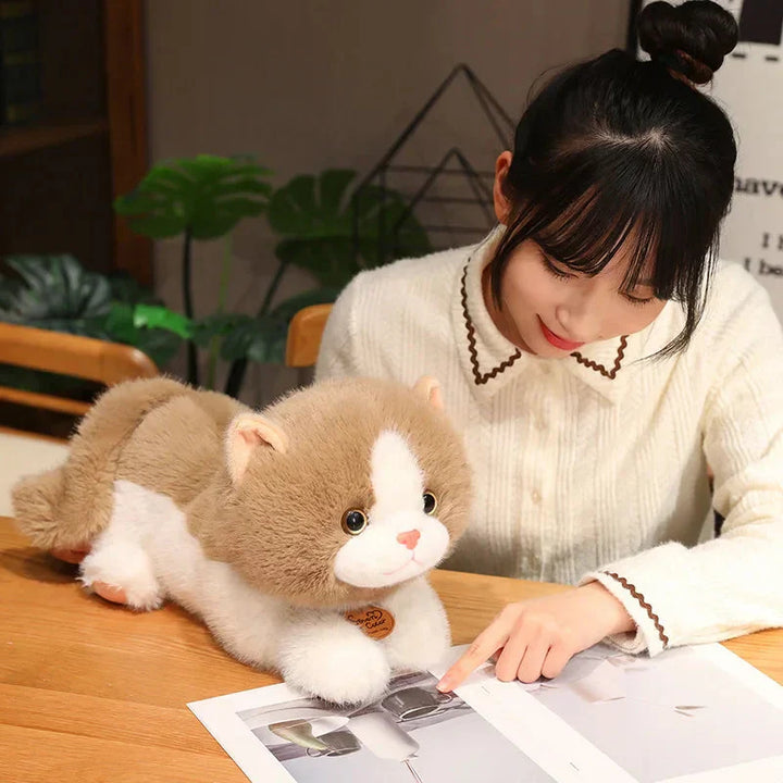 BowLift | Fluffy Kitten Squad Laying Plushies