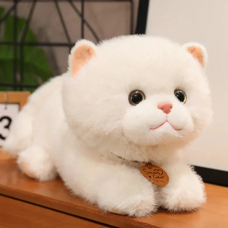BowLift | Fluffy Kitten Squad Laying Plushies