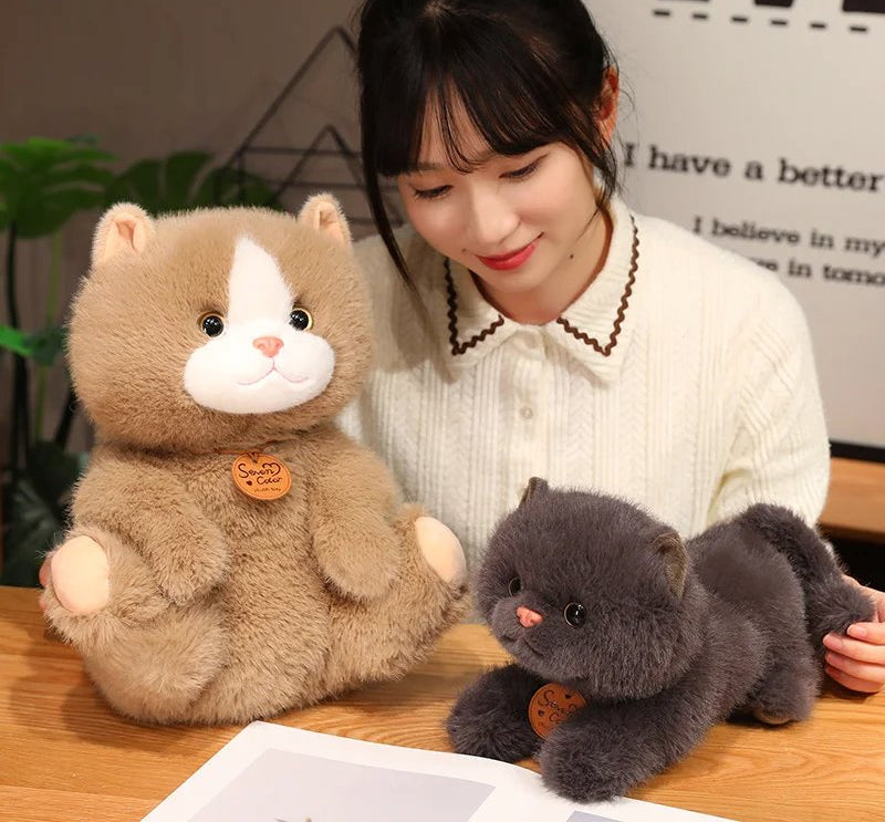 BowLift | Fluffy Kitten Squad Plushies