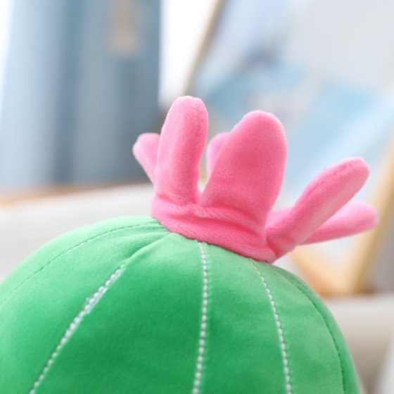 BowLift | Happy Cactus Friends