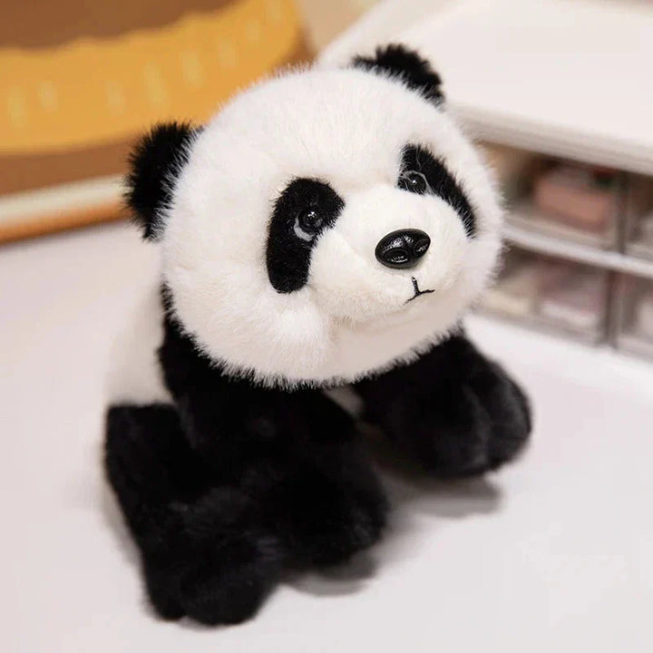 BowLift | Kawaii Fuzzy Black Brown Panda Plushies