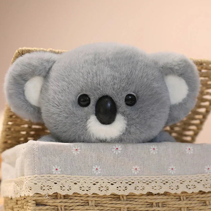 BowLift | Koko the Kawaii Koala Plushie