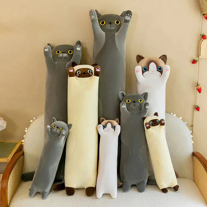 BowLift | Long Snuggly Cat Siamese British Shorthair Snowshoe Plushies Collection