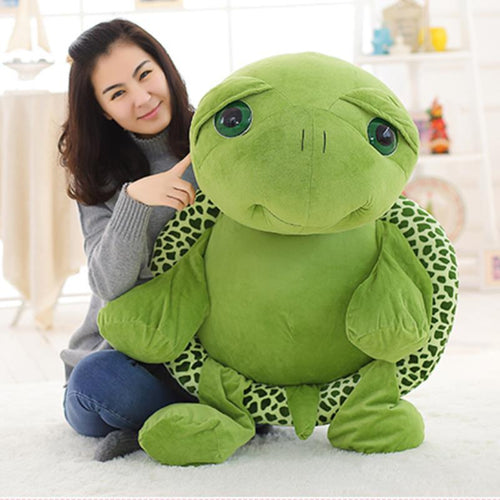 BowLift | Bob the Tortoise