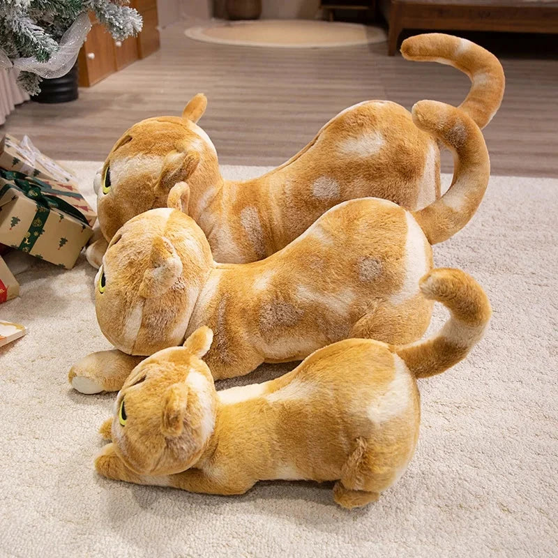 BowLift | Mochi, Marmie & Midnight – Sleepy Cat Plushies