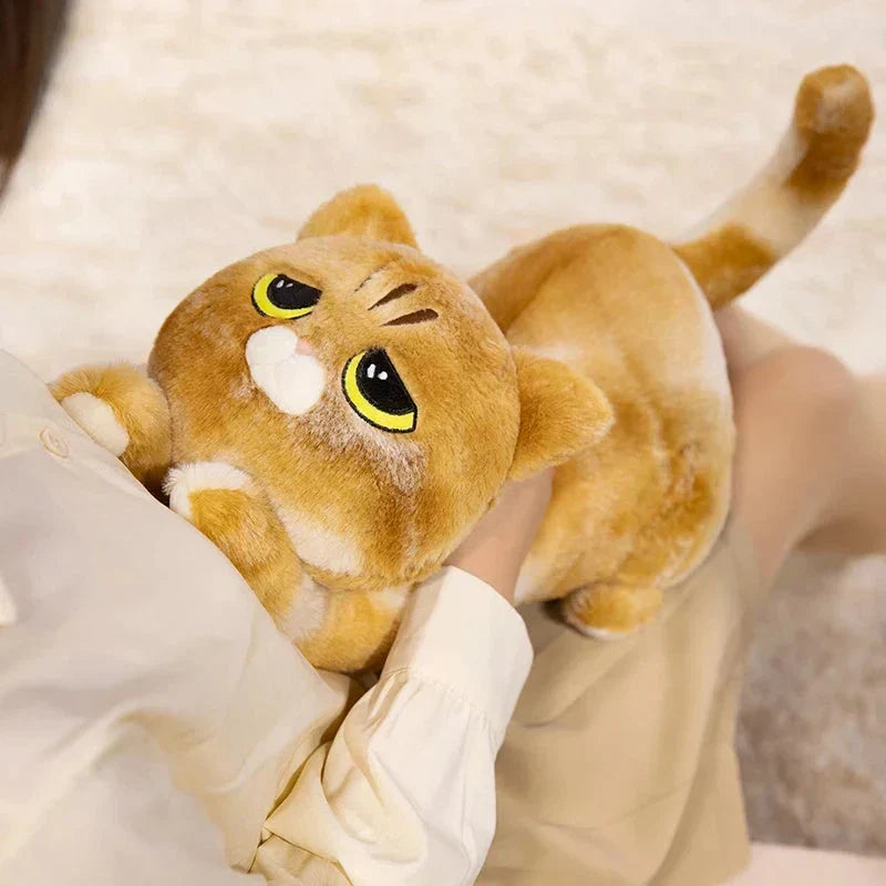 BowLift | Mochi, Marmie & Midnight – Sleepy Cat Plushies