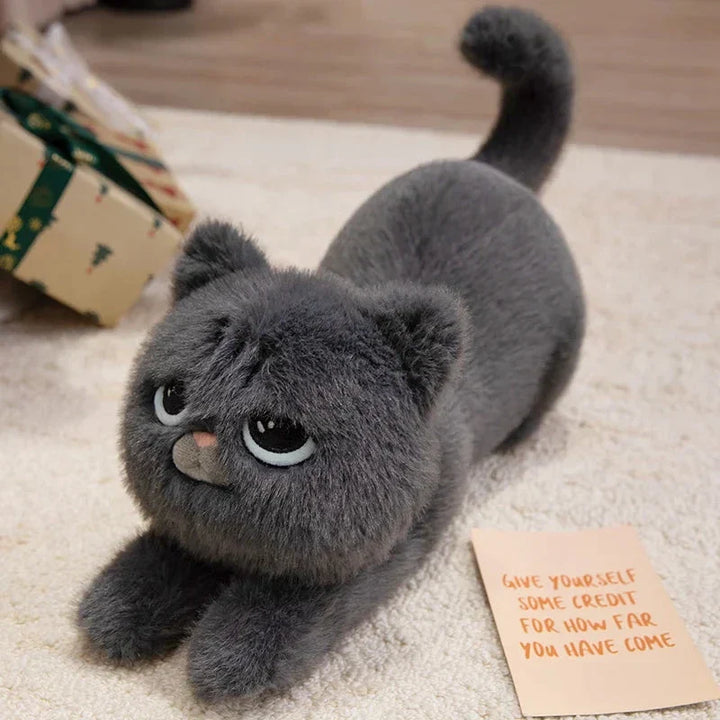 BowLift | Mochi, Marmie & Midnight – Sleepy Cat Plushies