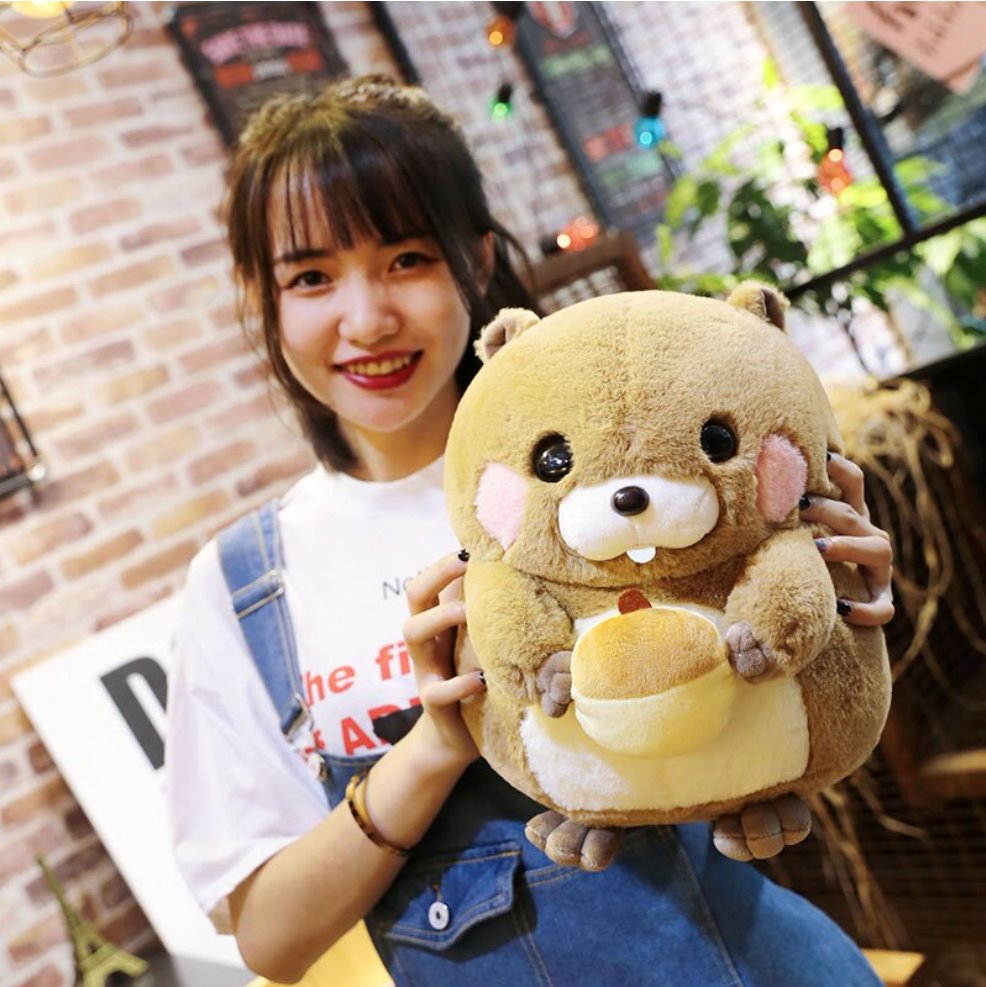 BowLift | Snacking Beaver Plushies | LIMITED STOCK