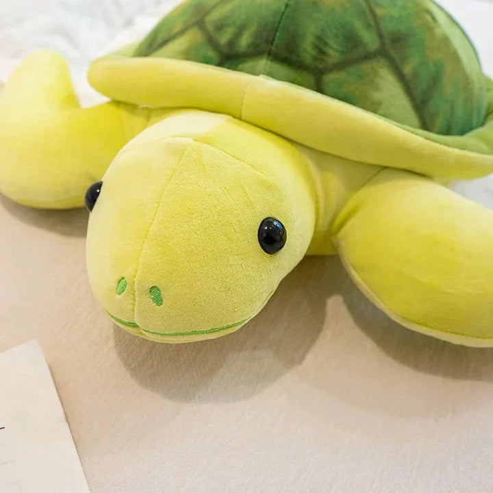 BowLift | Sunny & Shelly the Sea Turtle Plushies