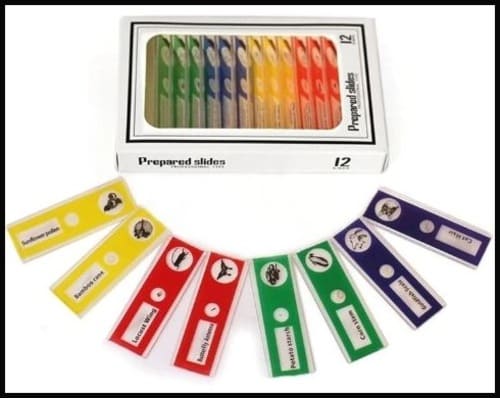 BowLift | KiddyScope™ Portable Pocket Microscope with Adjustable 60-120x zoom