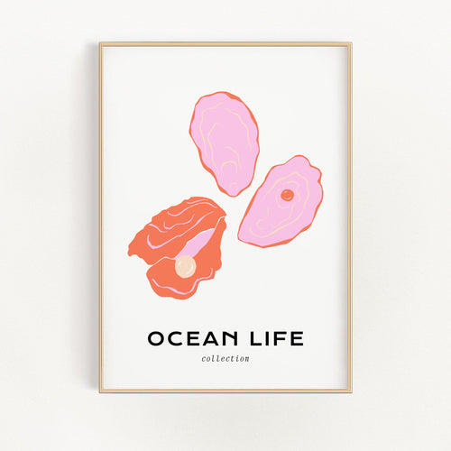 Ocean Life - Shell | Bowlift
