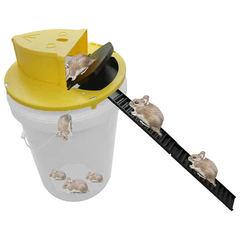 Reusable live trap for mice & rats | Bowlift