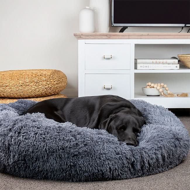 BowLift | FUZZYPLUSH – Orthopedic Plush Dog Bed for Deep Sleep