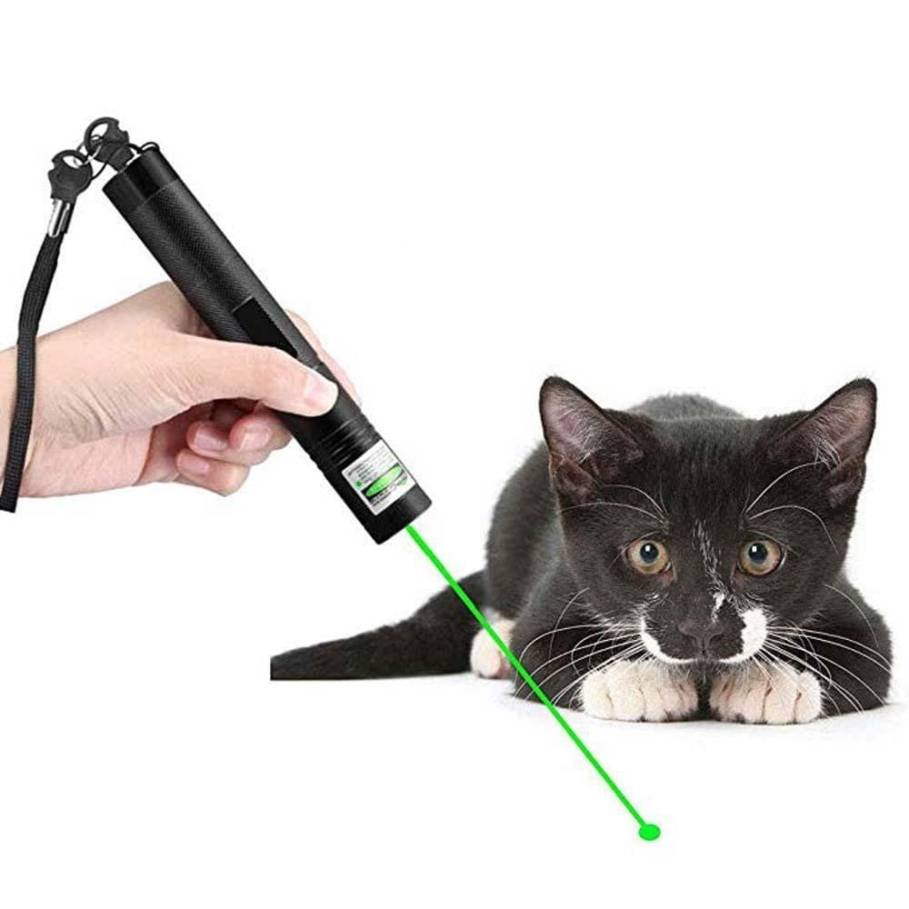 High-Performance Laserpointer 303 | Powerful Green Beam for Long Distances | Bowlift
