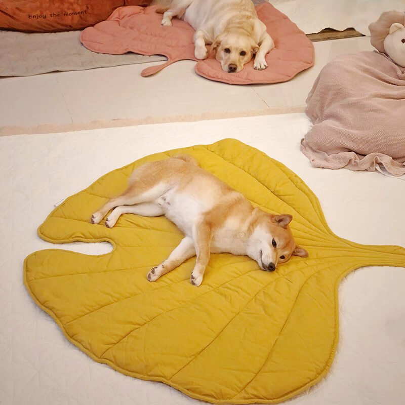 BowLift | Leafnest – Leaf-Shaped Dog Blanket for Comfort & Style