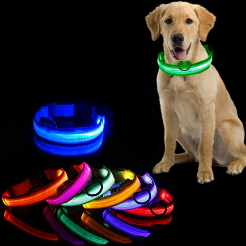 LED Dog Collar - GlowCollar Bowlift