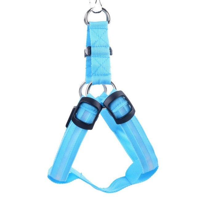 LED Dog Harness - Glow&Go Bowlift