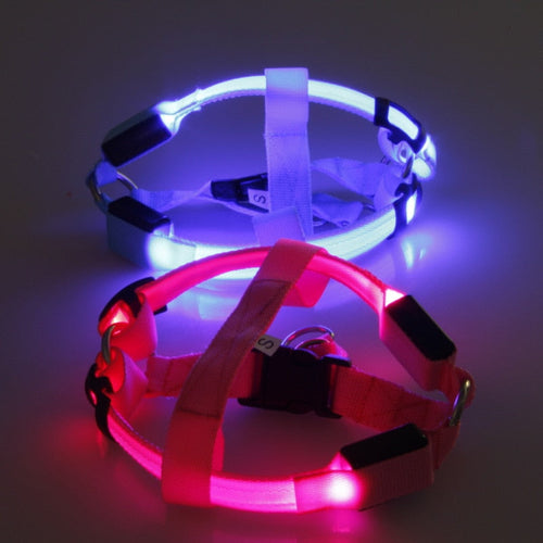 LED Dog Harness - Glow&Go Bowlift