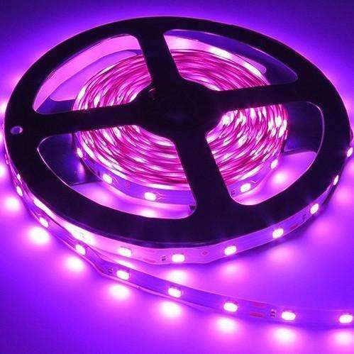 BowLift | 3528 LED Strips Light 12V 5M 300 Leds - Make Sure Detail is Perfect