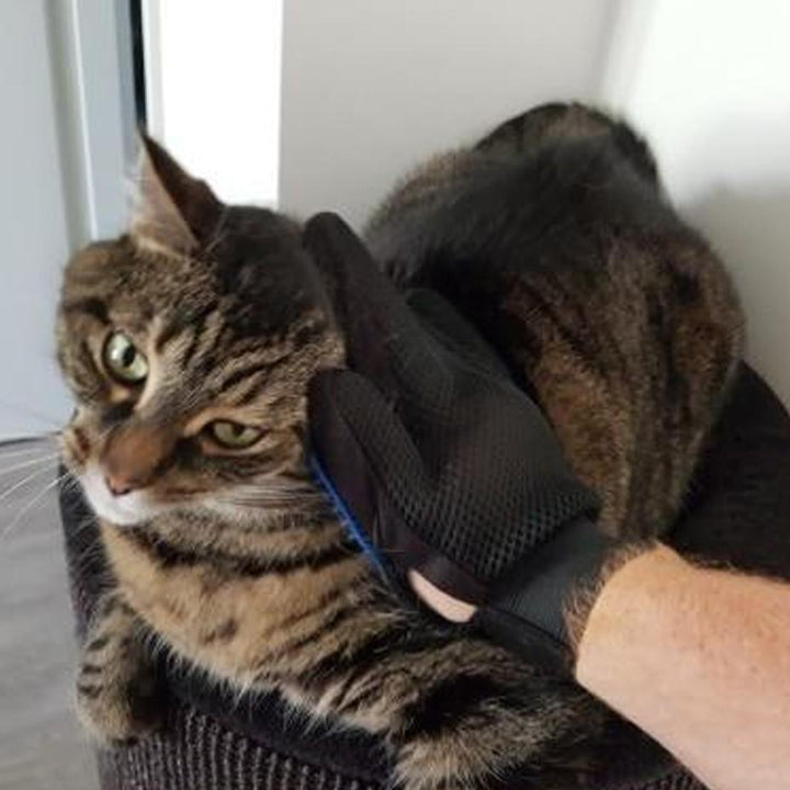 BowLift | Grooming &  Deshedding Glove