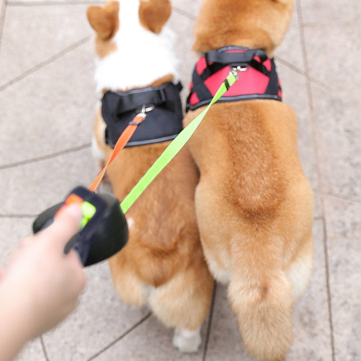 DuoLijn LED Dual Retractable Leash for Dogs and Cats with 360° Rotation Mechanism 3 Meters | Bowlift