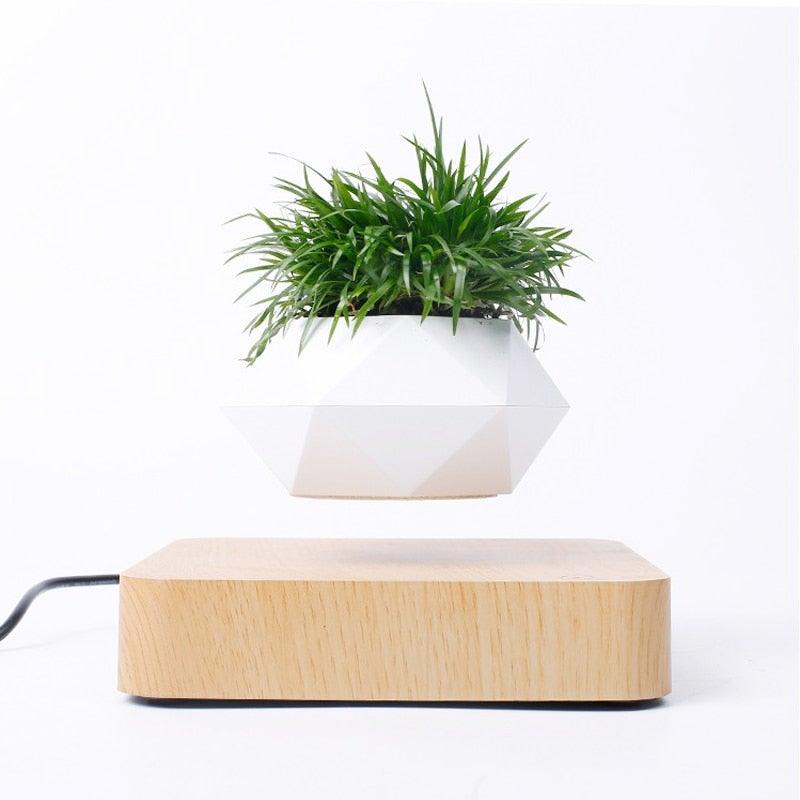 BowLift | Floating Air Bonsai Pot