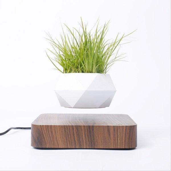 BowLift | Floating Air Bonsai Pot