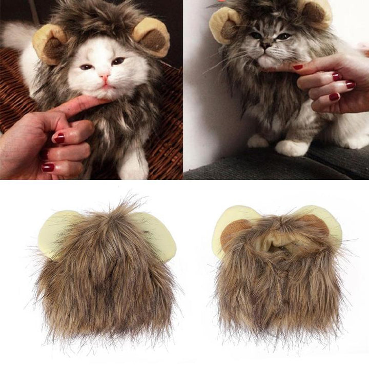 Lion manes for your cat - LionPaws Bowlift