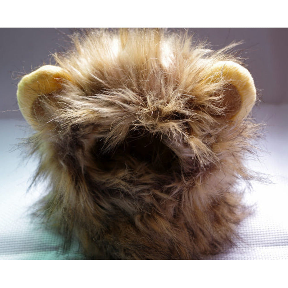 LionPaws Lion Mane for Your Cat Bowlift