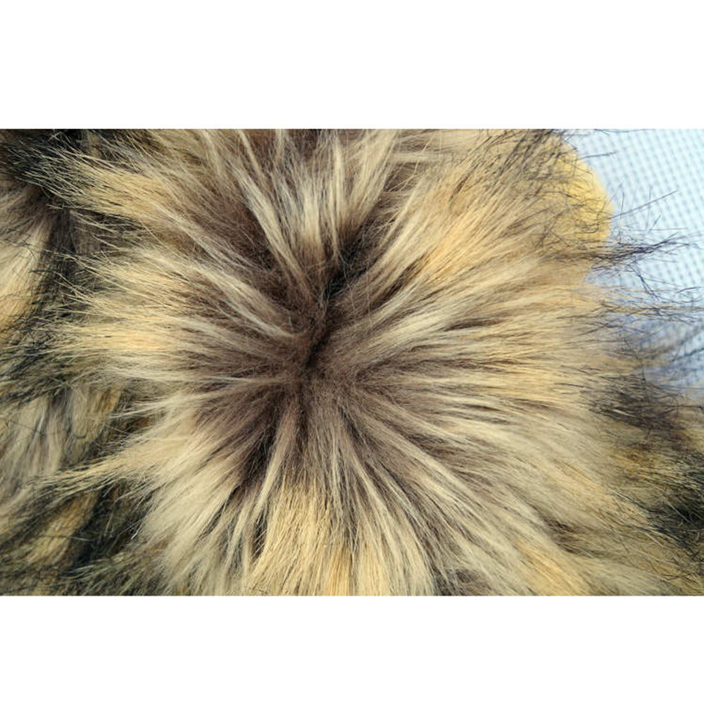 LionPaws Lion Mane for Your Cat Bowlift
