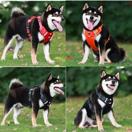 LumiWalk - The Ultimate LED No Pull Dog Harness - No Pull Dog Harness - BowLift