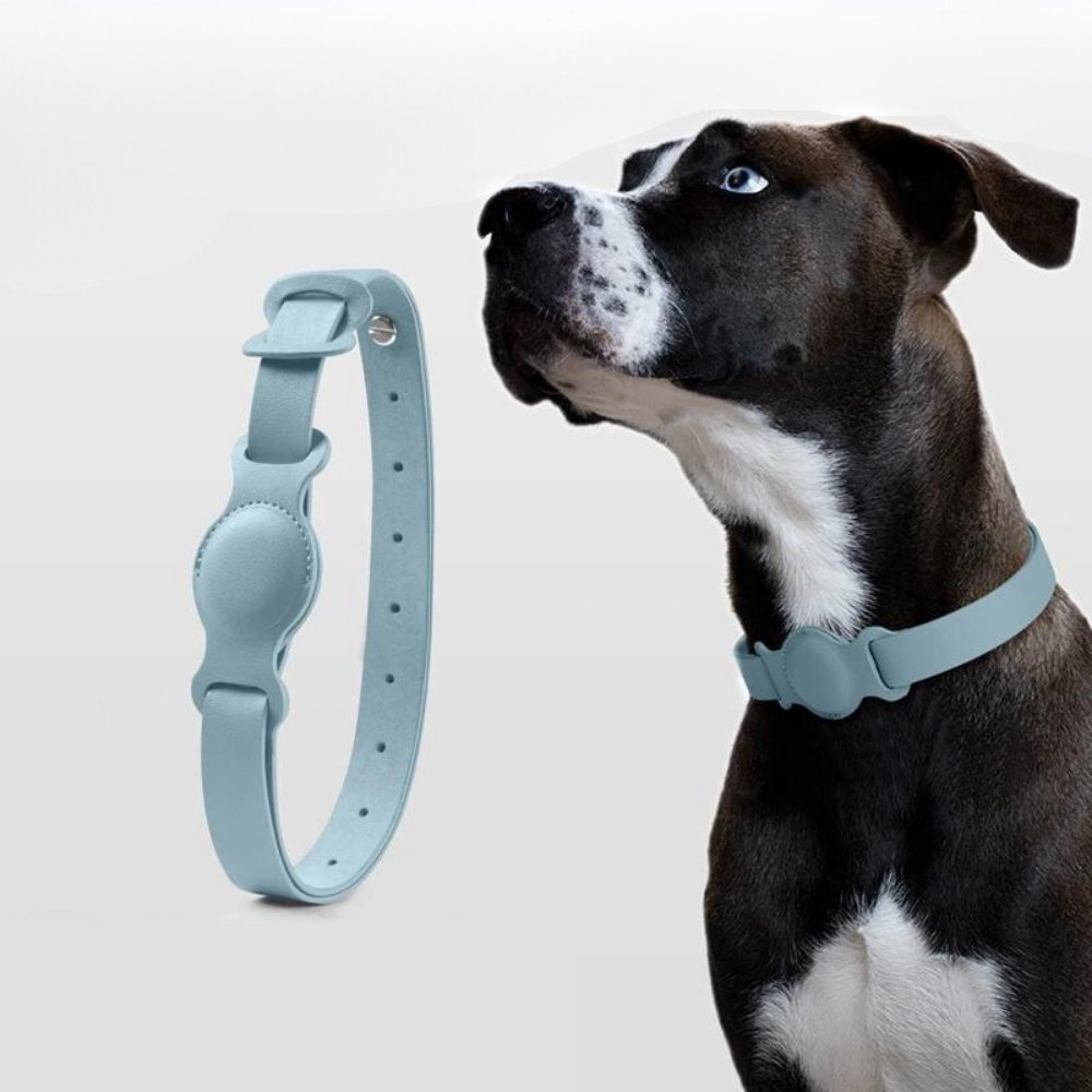 LuxeLeather • AirTag Dog Collar - AirTag Dog Collar - BowLift