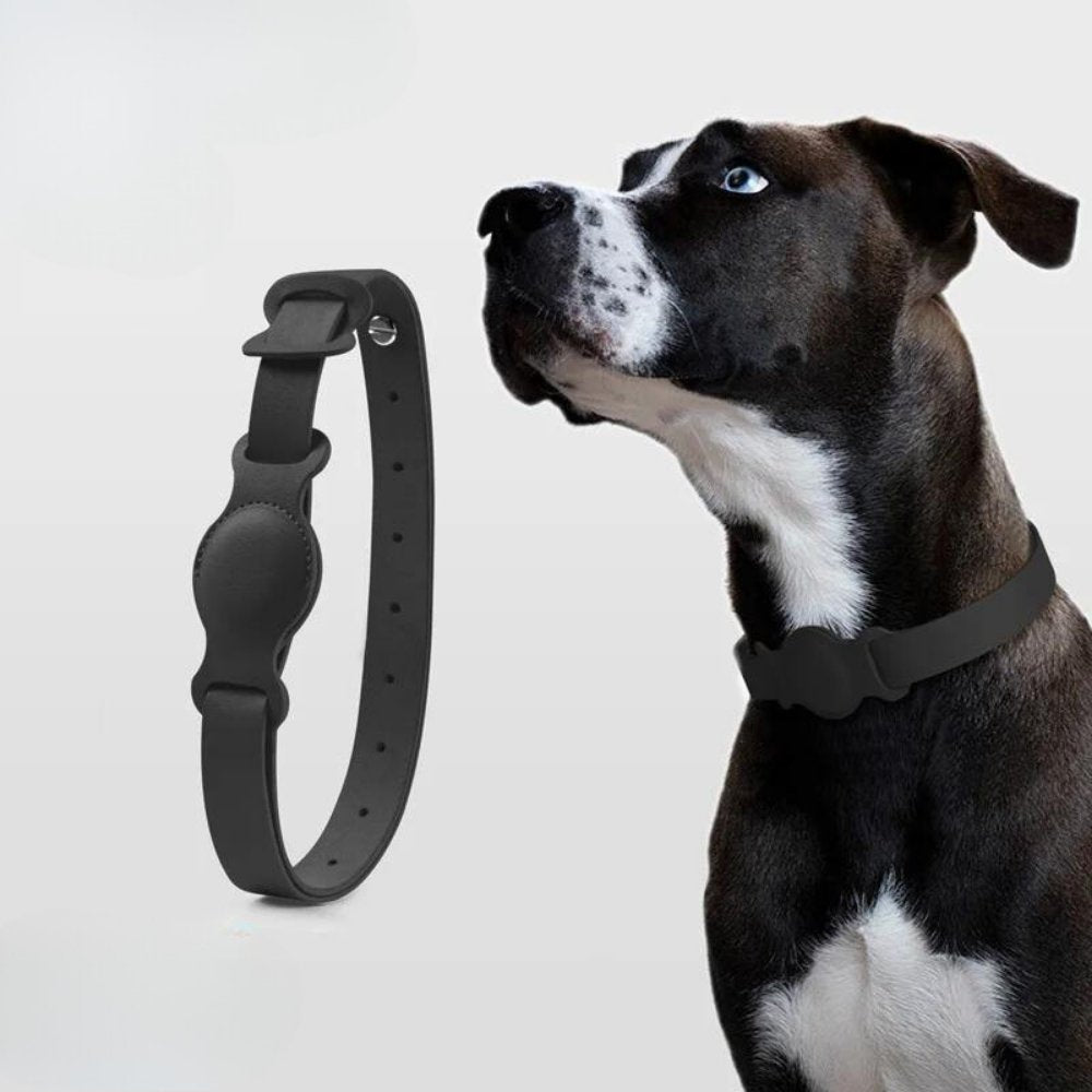 LuxeLeather • AirTag Dog Collar - AirTag Dog Collar - BowLift