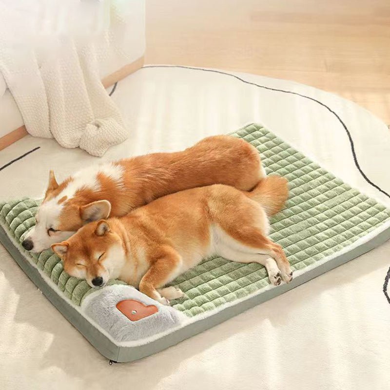 BowLift | LUXEPLUSH – Premium Plush Dog Bed for Small to Medium Dogs