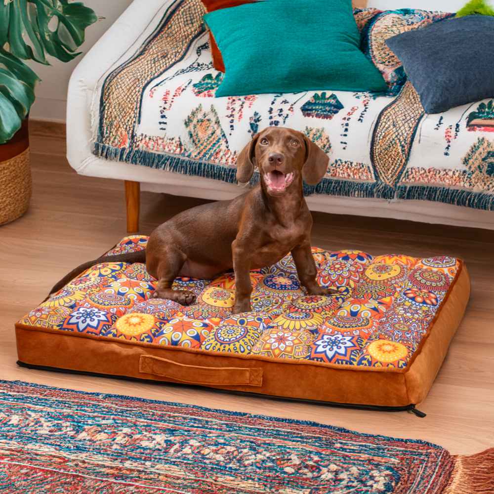 Luxurious Moroccan Style Dog Bed - Casablanca Dream Bowlift