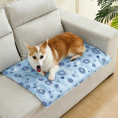 Dog Cooling Mat Bowlift